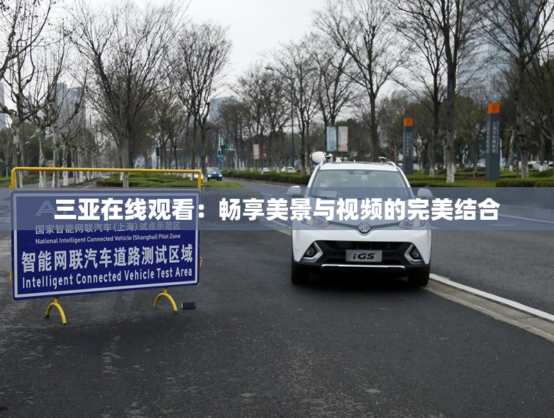 三亚在线观看：畅享美景与视频的完美结合