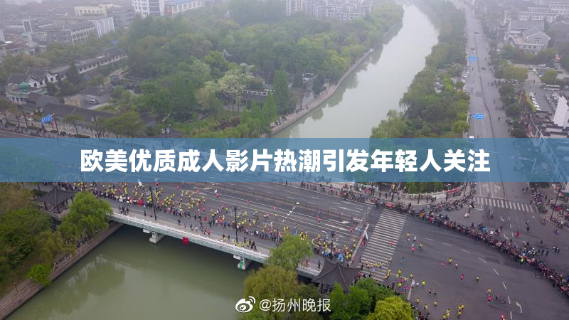 欧美优质成人影片热潮引发年轻人关注