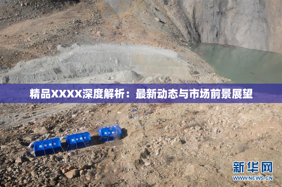 精品XXXX深度解析：最新动态与市场前景展望