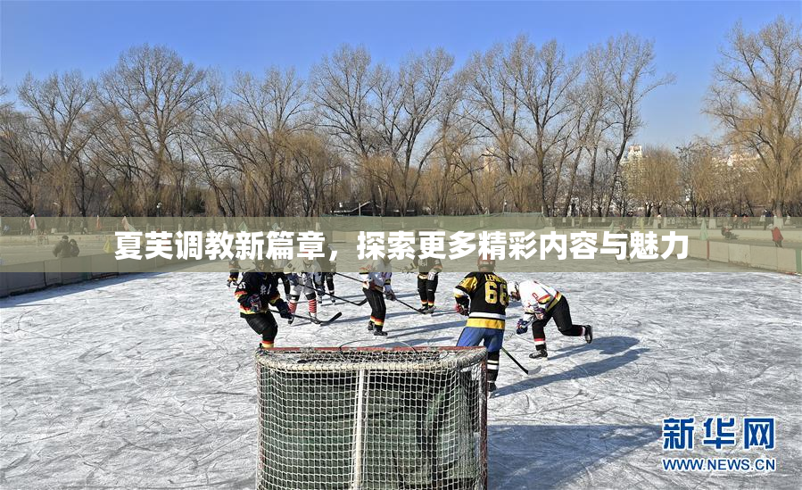 夏芙调教新篇章，探索更多精彩内容与魅力