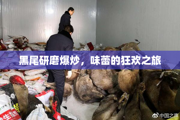 黑尾研磨爆炒，味蕾的狂欢之旅