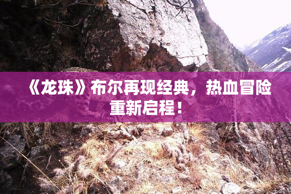 《龙珠》布尔再现经典，热血冒险重新启程！