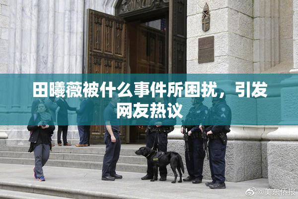 田曦薇被什么事件所困扰，引发网友热议