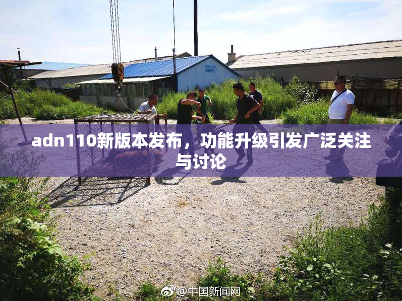 adn110新版本发布，功能升级引发广泛关注与讨论