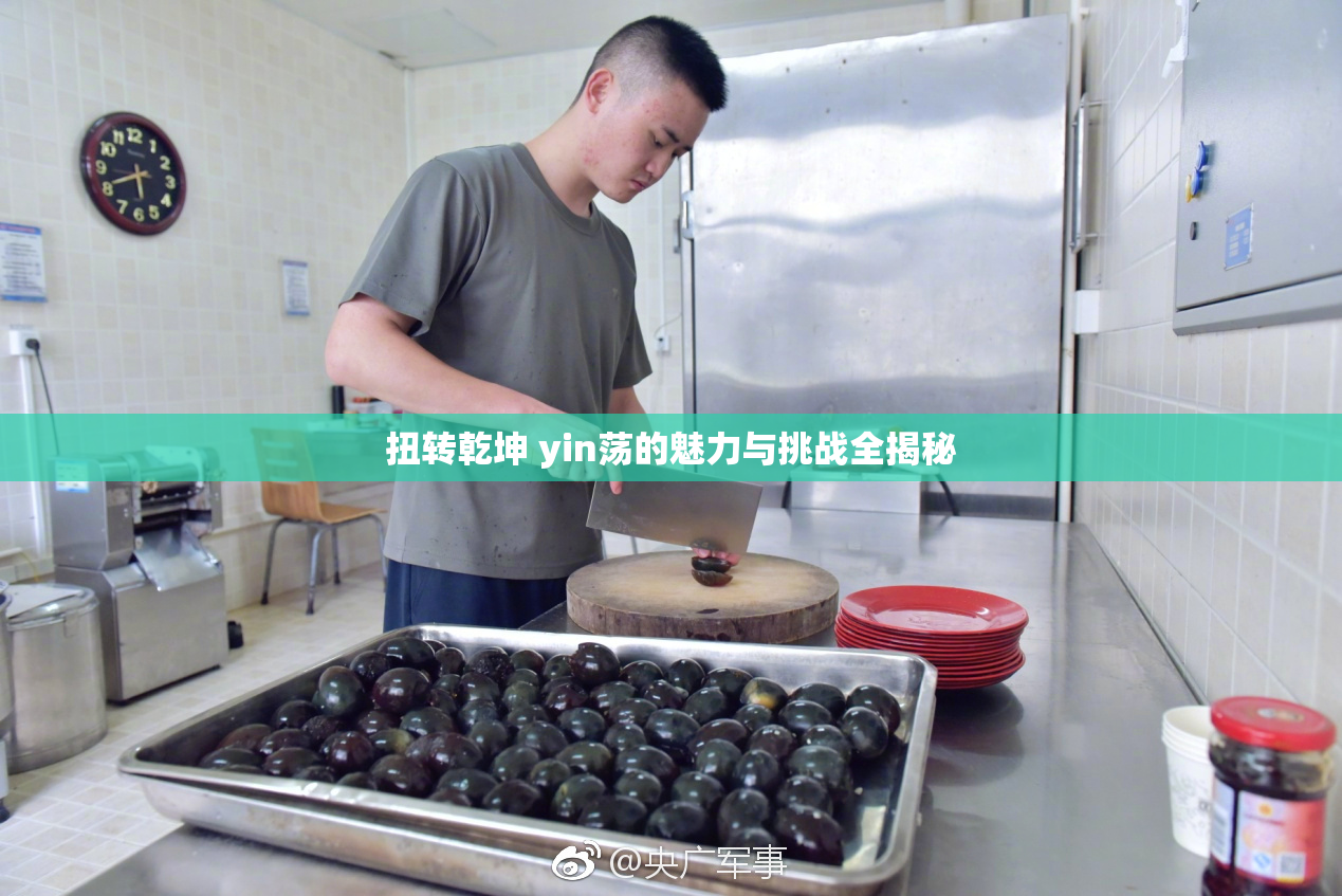 扭转乾坤 yin荡的魅力与挑战全揭秘