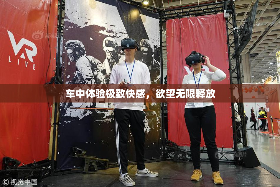 车中体验极致快感，欲望无限释放