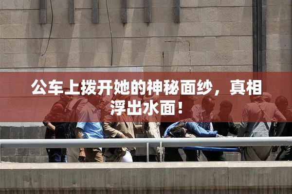 公车上拨开她的神秘面纱，真相浮出水面！