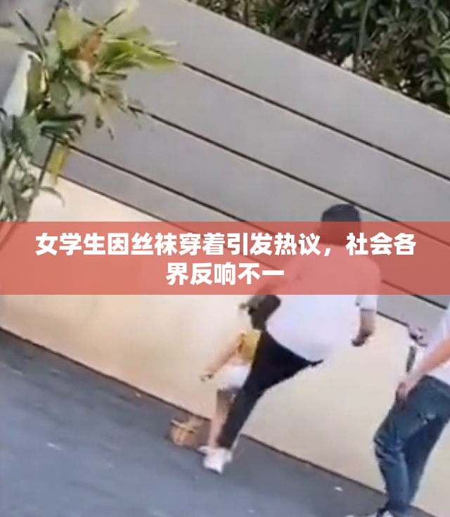 女学生因丝袜穿着引发热议，社会各界反响不一