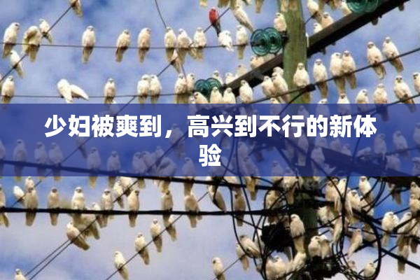 少妇被爽到，高兴到不行的新体验