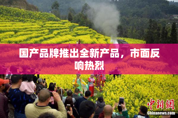 国产品牌推出全新产品，市面反响热烈