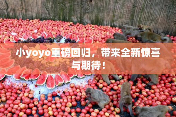 小yoyo重磅回归，带来全新惊喜与期待！