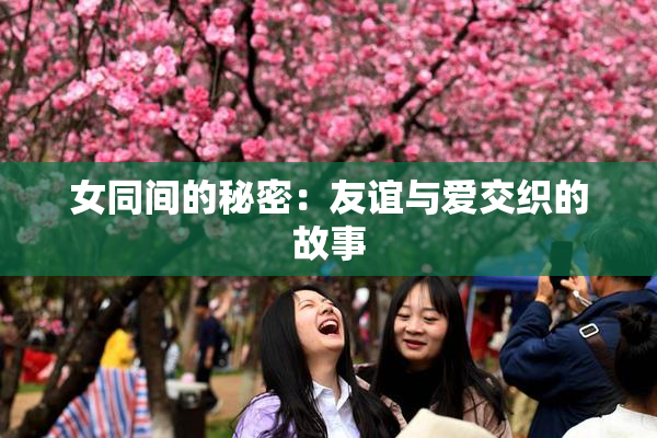 女同间的秘密：友谊与爱交织的故事