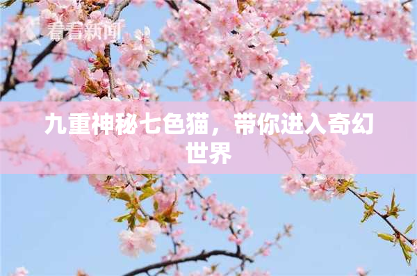 九重神秘七色猫，带你进入奇幻世界