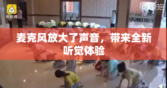 麦克风放大了声音，带来全新听觉体验