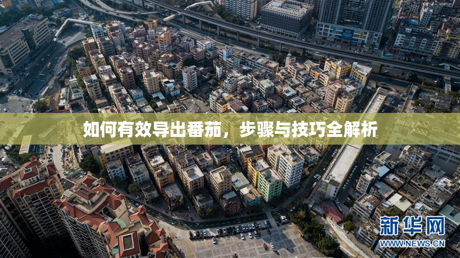如何有效导出番茄，步骤与技巧全解析