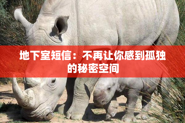 地下室短信：不再让你感到孤独的秘密空间