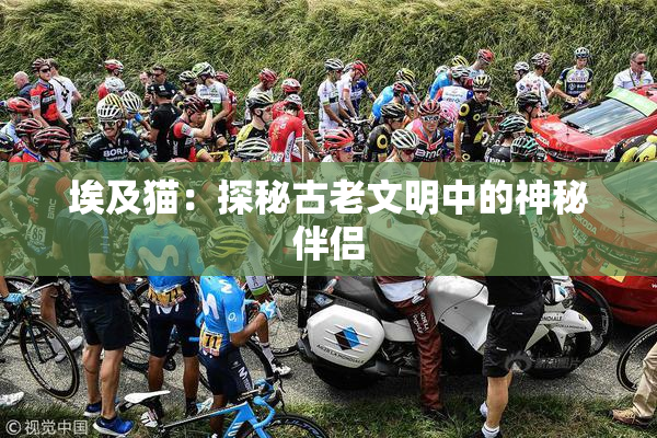 埃及猫：探秘古老文明中的神秘伴侣