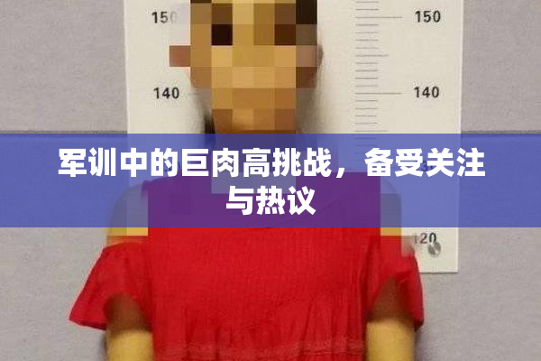 军训中的巨肉高挑战，备受关注与热议