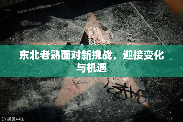 东北老熟面对新挑战，迎接变化与机遇