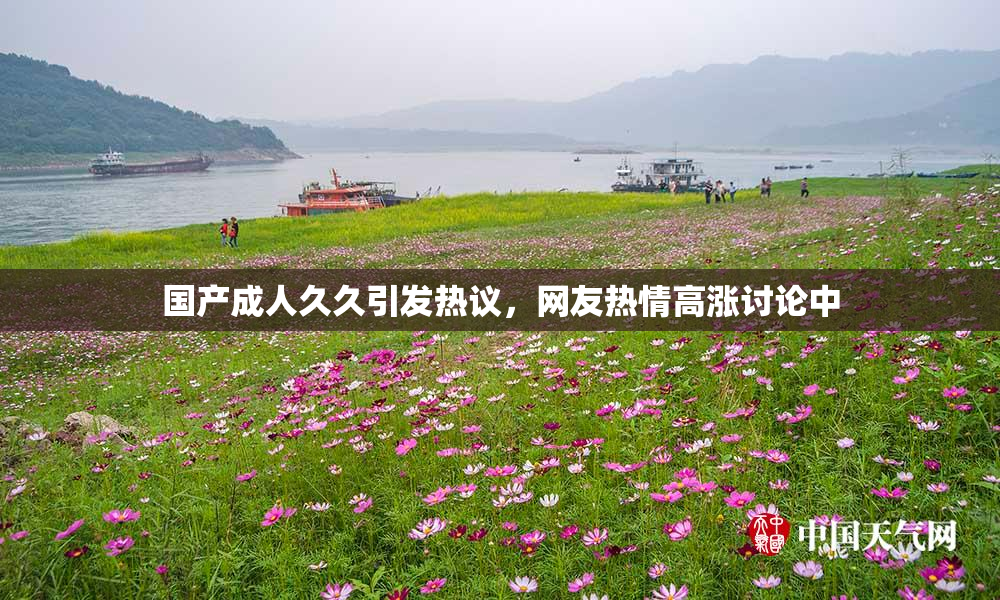 国产成人久久引发热议，网友热情高涨讨论中