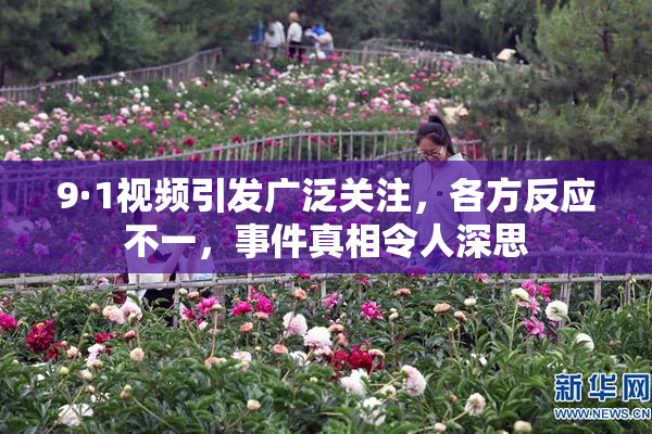 9·1视频引发广泛关注，各方反应不一，事件真相令人深思