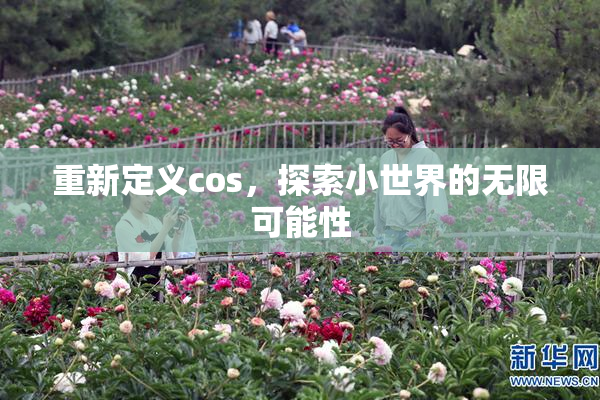 重新定义cos，探索小世界的无限可能性