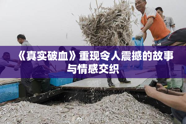 《真实破血》重现令人震撼的故事与情感交织