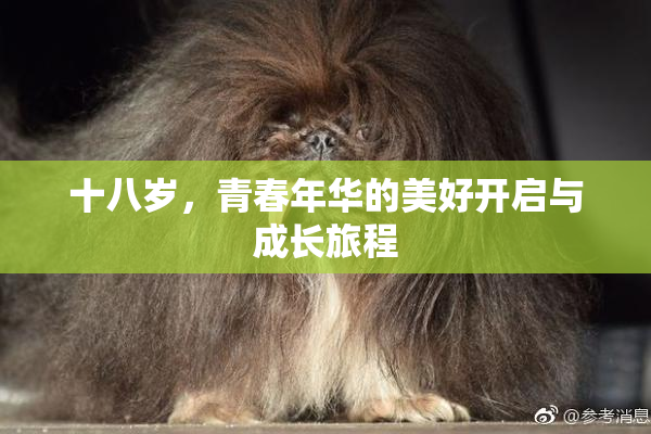 十八岁，青春年华的美好开启与成长旅程