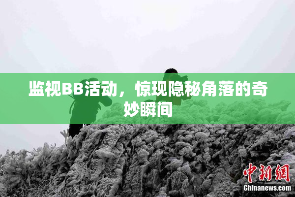 监视BB活动，惊现隐秘角落的奇妙瞬间