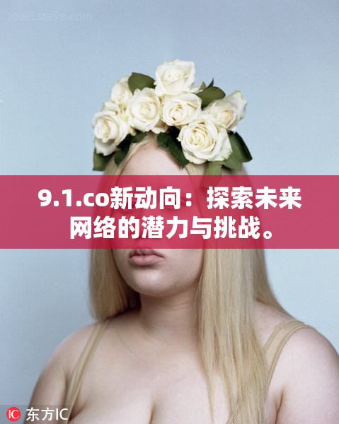 9.1.co新动向：探索未来网络的潜力与挑战。