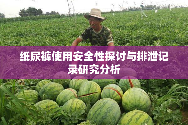 纸尿裤使用安全性探讨与排泄记录研究分析