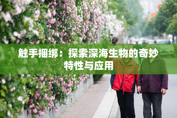 触手捆绑：探索深海生物的奇妙特性与应用