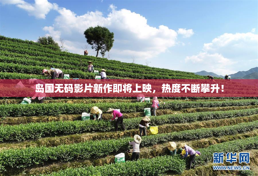 岛国无码影片新作即将上映，热度不断攀升！