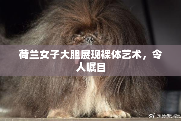 荷兰女子大胆展现裸体艺术，令人瞩目