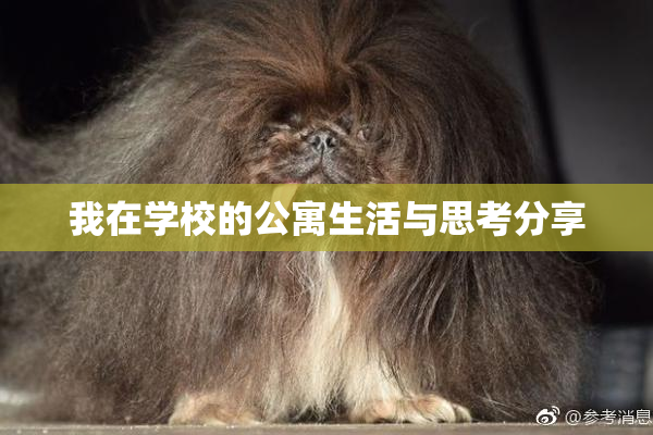 我在学校的公寓生活与思考分享