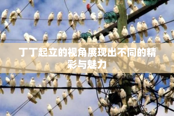 丁丁起立的视角展现出不同的精彩与魅力