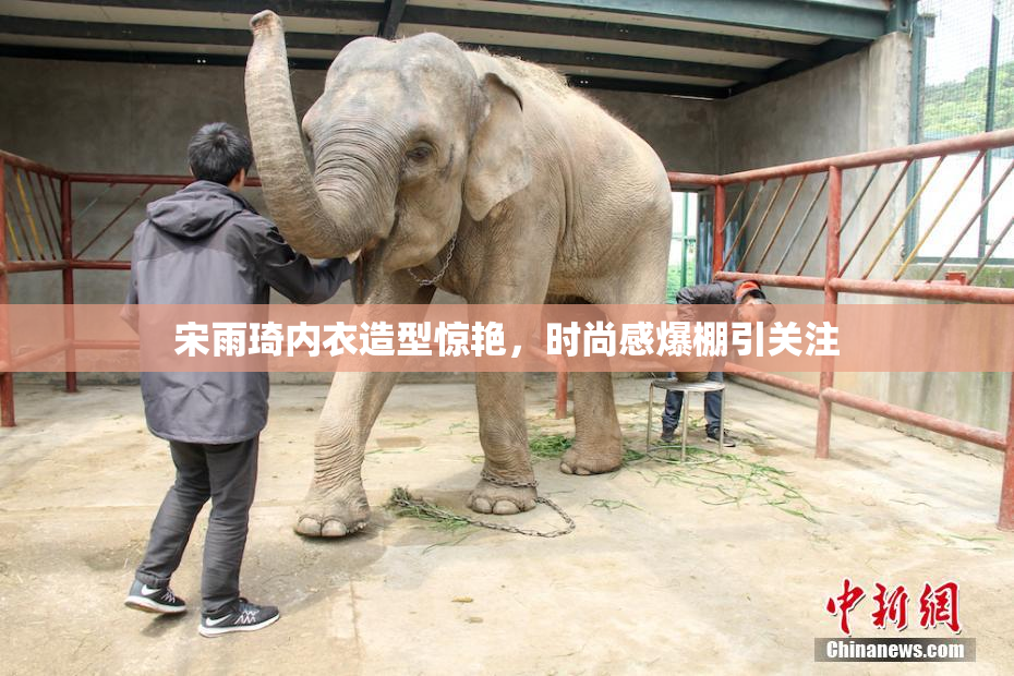 宋雨琦内衣造型惊艳，时尚感爆棚引关注