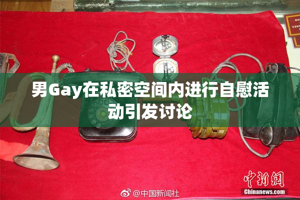 男Gay在私密空间内进行自慰活动引发讨论