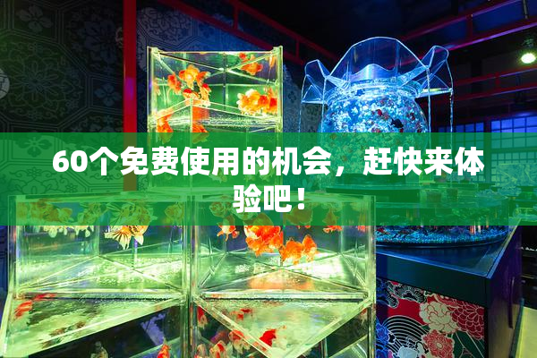 60个免费使用的机会，赶快来体验吧！
