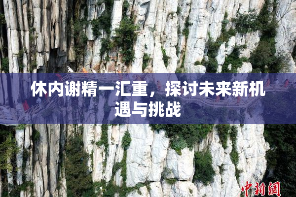 休内谢精一汇重，探讨未来新机遇与挑战
