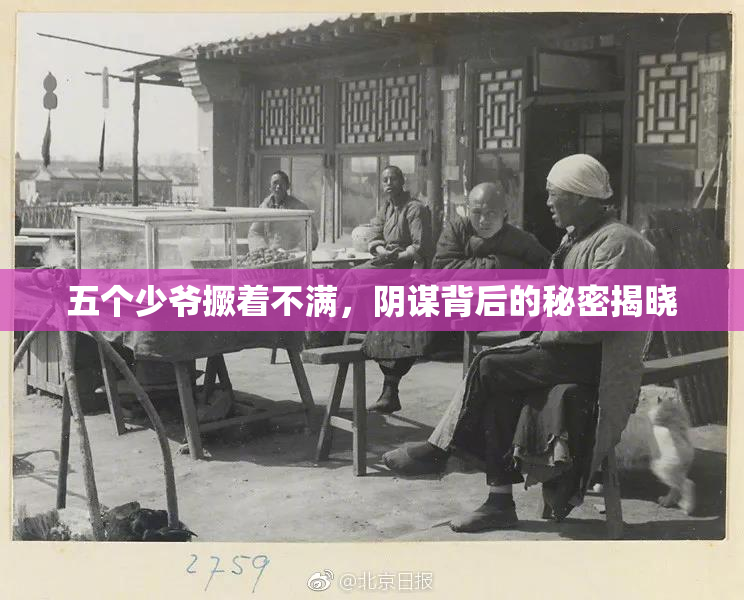 五个少爷撅着不满，阴谋背后的秘密揭晓