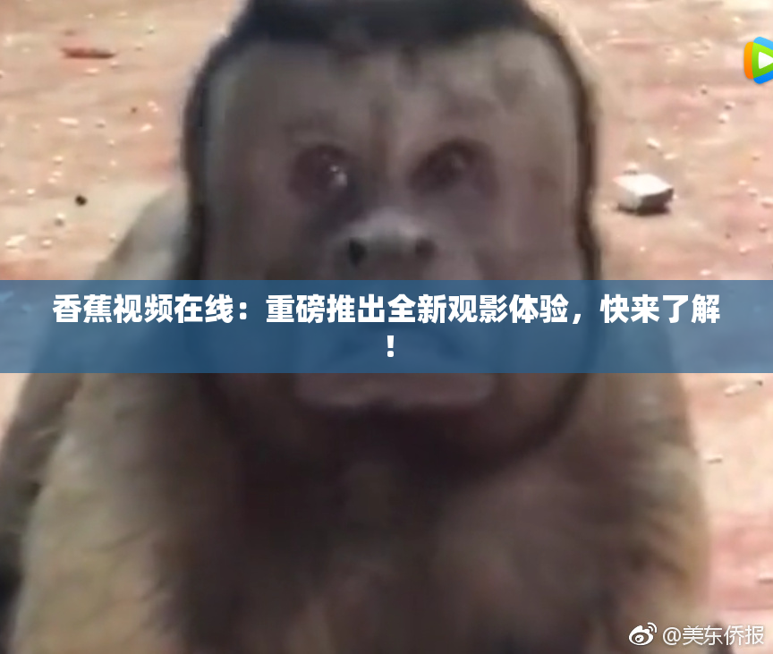 香蕉视频在线：重磅推出全新观影体验，快来了解！