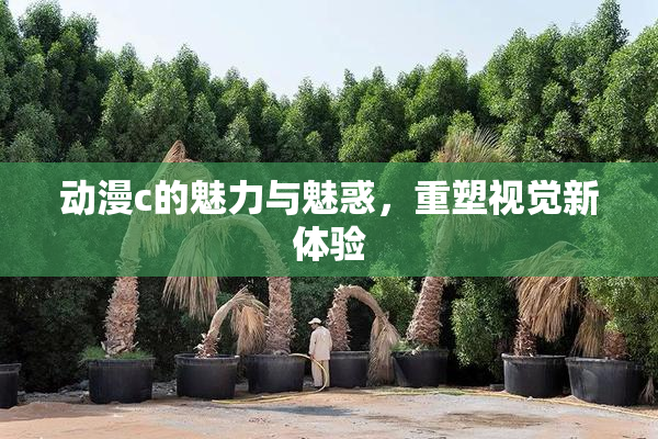 动漫c的魅力与魅惑，重塑视觉新体验