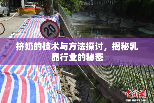 挤奶的技术与方法探讨，揭秘乳品行业的秘密