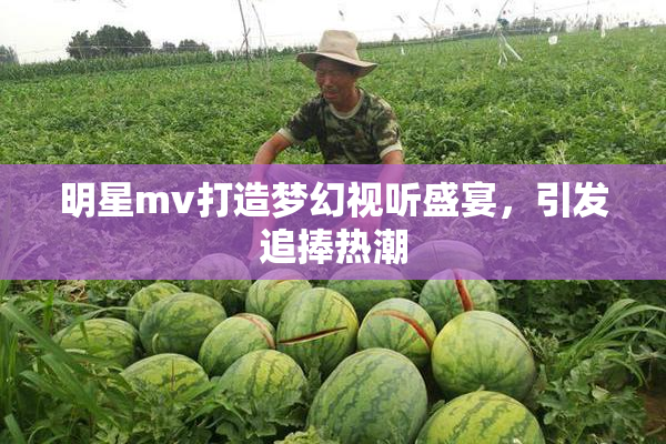 明星mv打造梦幻视听盛宴，引发追捧热潮