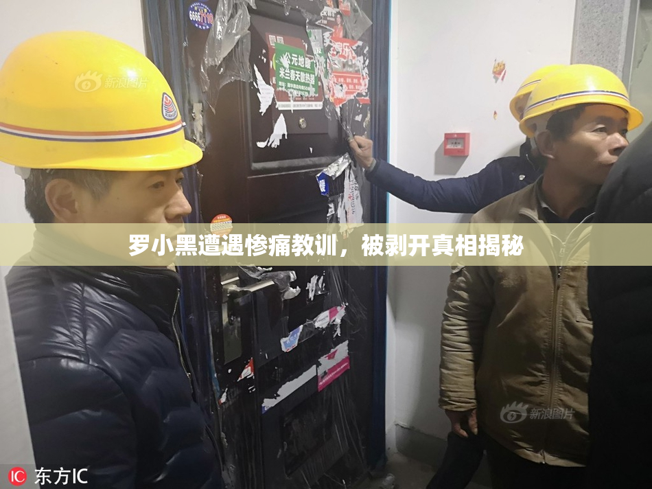 罗小黑遭遇惨痛教训，被剥开真相揭秘