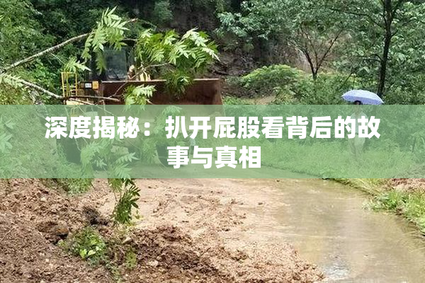 深度揭秘：扒开屁股看背后的故事与真相