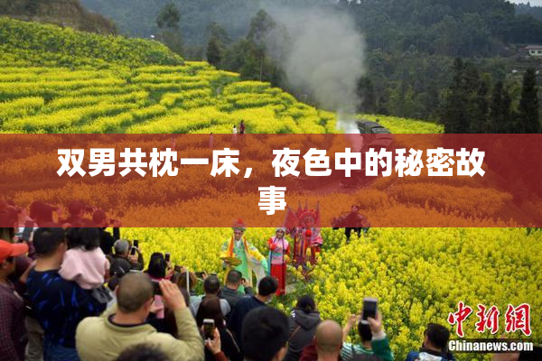 双男共枕一床，夜色中的秘密故事