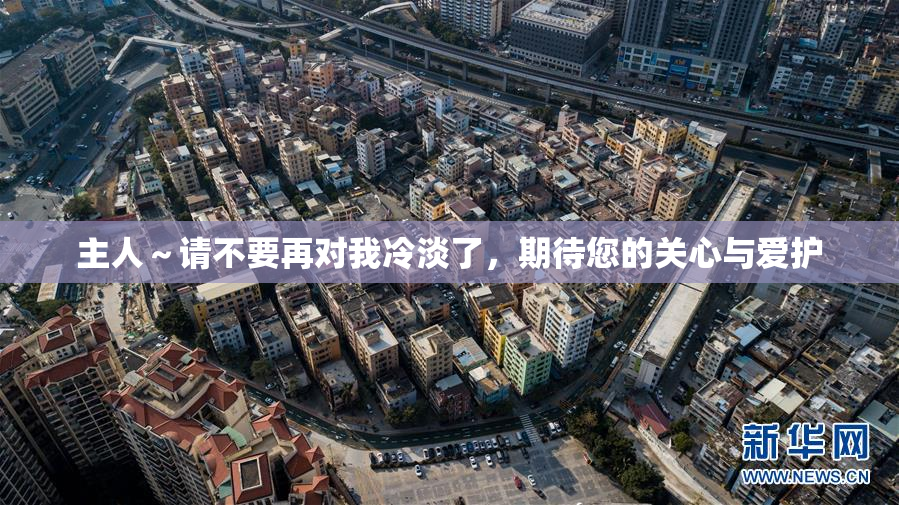 主人～请不要再对我冷淡了，期待您的关心与爱护