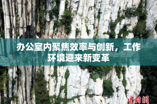 办公室内聚焦效率与创新，工作环境迎来新变革